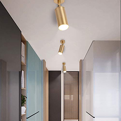 Gu10 Modern Gold Led Ceiling Spot Light 360° Adjustable Downlight Ceiling Light Clothing Shop Showrooms Exhibition Spotlight Picture Light Display Focus Commercial Lighting